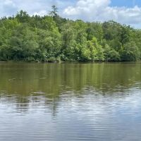 - 51.65 Acres - Tract 5 on O Sheal Drive in Tamassee SC images 5