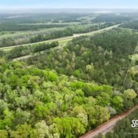 29.5 - Acres U. S. Highway 98 Perry County MS Beaumont MS Area images 3