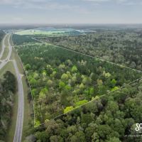 29.5 - Acres U. S. Highway 98 Perry County MS Beaumont MS Area images 4