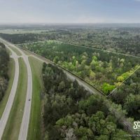 29.5 - Acres U. S. Highway 98 Perry County MS Beaumont MS Area images 5