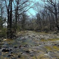 170 ac with live water pasture and woods for sale in Miller County Missouri images 3