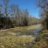 170 ac with live water pasture and woods for sale in Miller County Missouri images 4