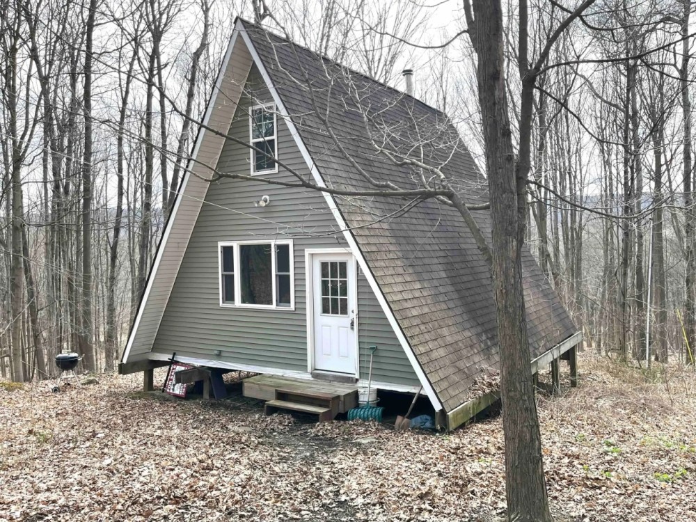 A-Frame Cabin on 12 acres in Springwater NY 8477 Hudson Rd featured image