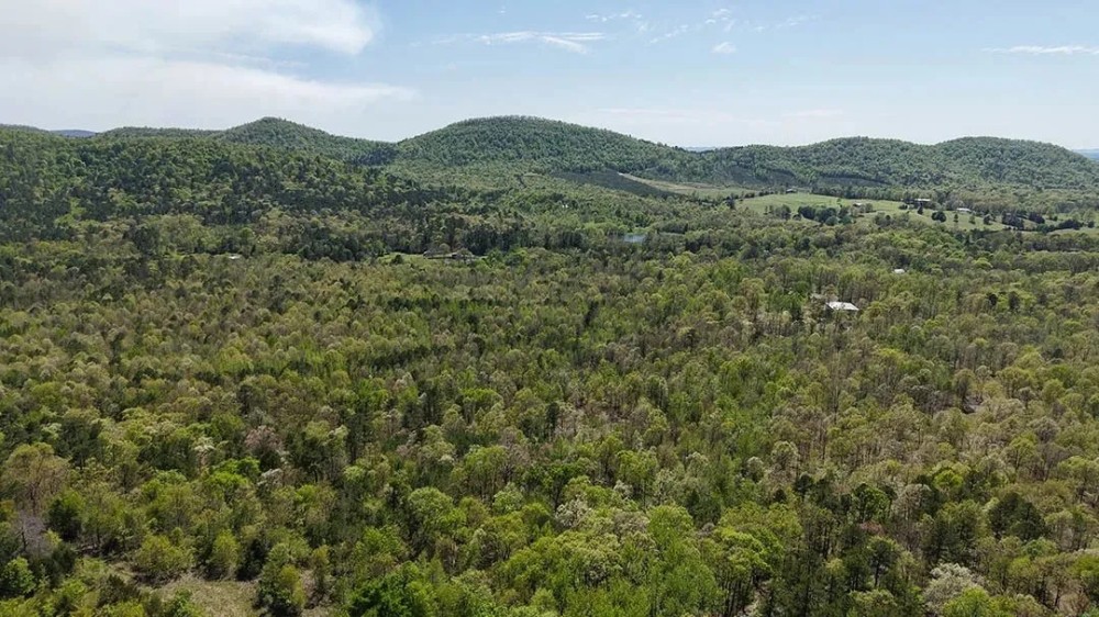 6.67 Acres in Polk County AR featured image