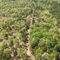 6.67 Acres in Polk County AR images 3