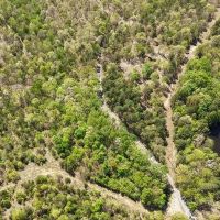 6.67 Acres in Polk County AR images 4