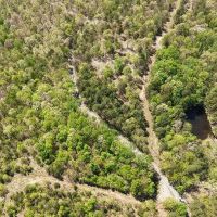 6.67 Acres in Polk County AR images 5