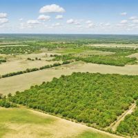 20 -Acres Tract 1 FM 2526 Carbon TX 76435 images 5