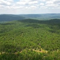 Acreage For Sale in Daisy Oklahoma images 2