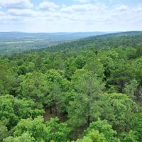Acreage For Sale in Daisy Oklahoma images 4
