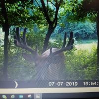 110 acres