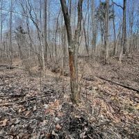 20 Acres of Recreational or Residential Land for Sale in Pittsylvania County VA images 4