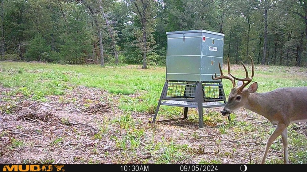 165 Acres TBD Private Road 8079 featured image