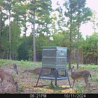 165 Acres TBD Private Road 8079 images 3