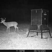 165 Acres TBD Private Road 8079 images 4