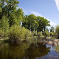 Saratoga North Platte River Ranch