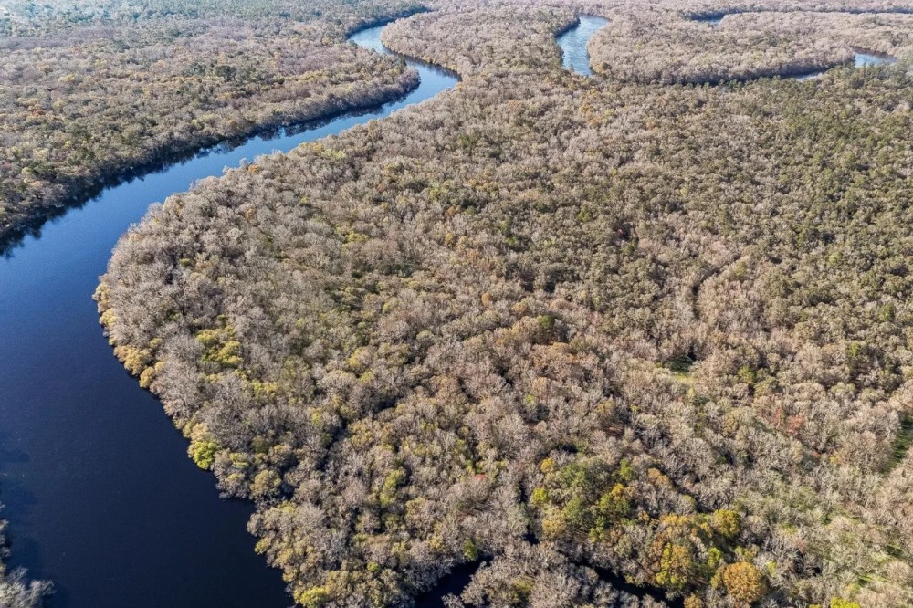 29 Acres of Prime Hunting Land in Bell FL - Near Suwannee River featured image