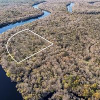 29 Acres of Prime Hunting Land in Bell FL - Near Suwannee River images 2