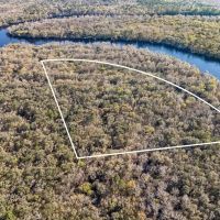 29 Acres of Prime Hunting Land in Bell FL - Near Suwannee River images 5