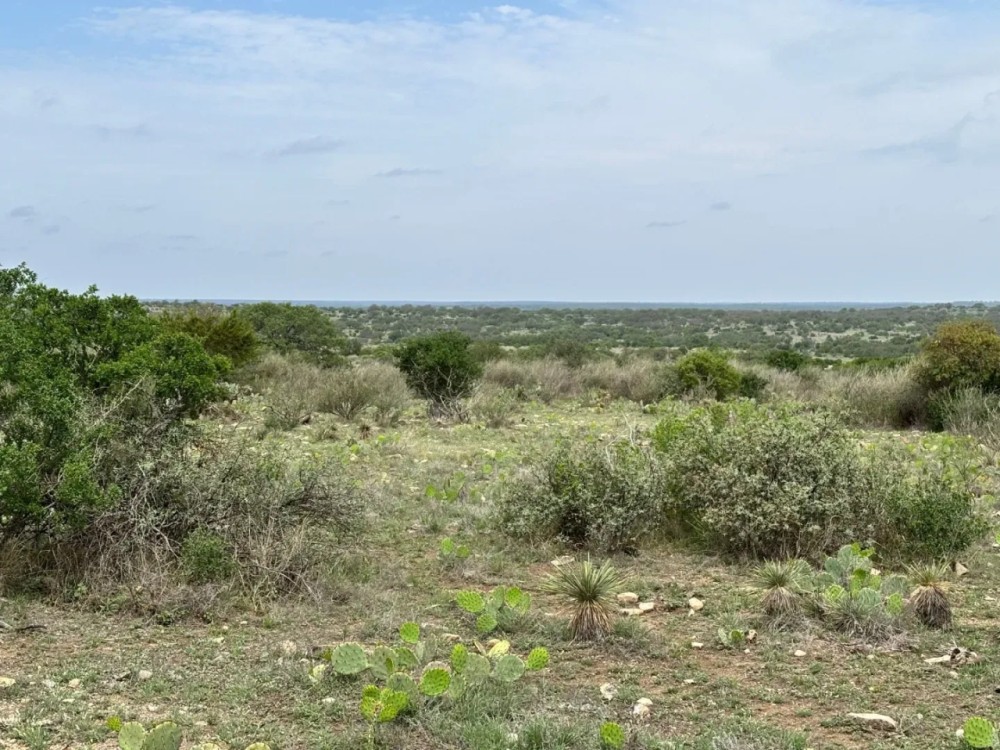 85 Acres McCulloch County featured image