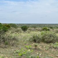85 Acres McCulloch County