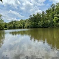 - 18.30 Tract 4 on Easy Street in Salem SC images 2
