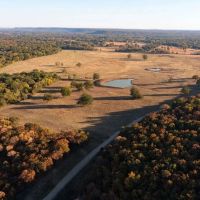 Oktaha 220 Acres images 3