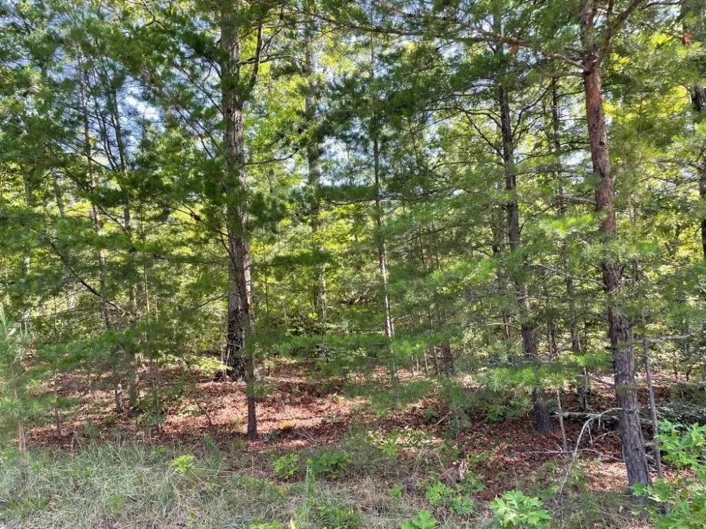 - 10.6 Acres - Tract 6 on Whitewater Point Road in Tamassee SC featured image