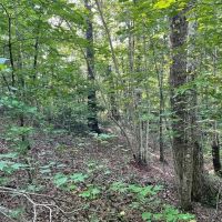 - 10.6 Acres - Tract 6 on Whitewater Point Road in Tamassee SC images 2