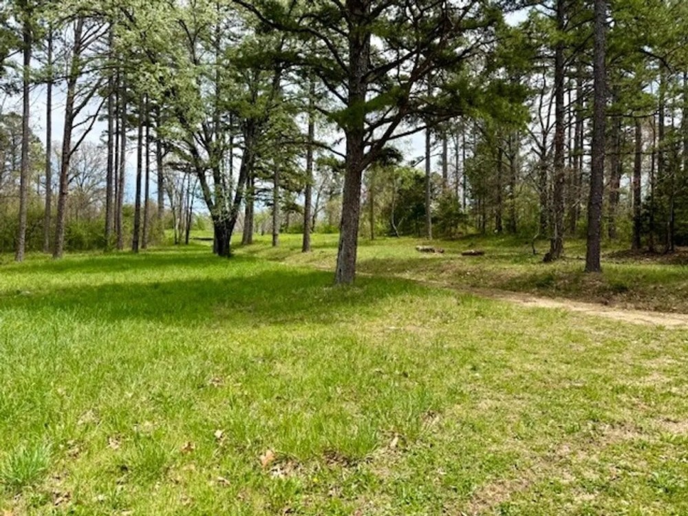 4.66 Acres City Water Sewer Electric Shannon County featured image