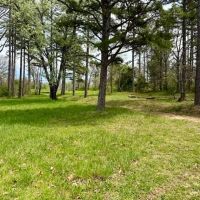 4.66 Acres City Water Sewer Electric Shannon County