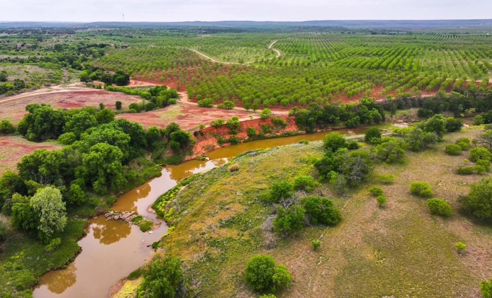 Big Valley Pecan Farm featured image