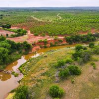Big Valley Pecan Farm
