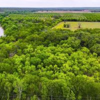 Big Valley Pecan Farm images 2