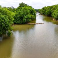 Big Valley Pecan Farm images 3