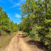 451 Acres The Game Preserve