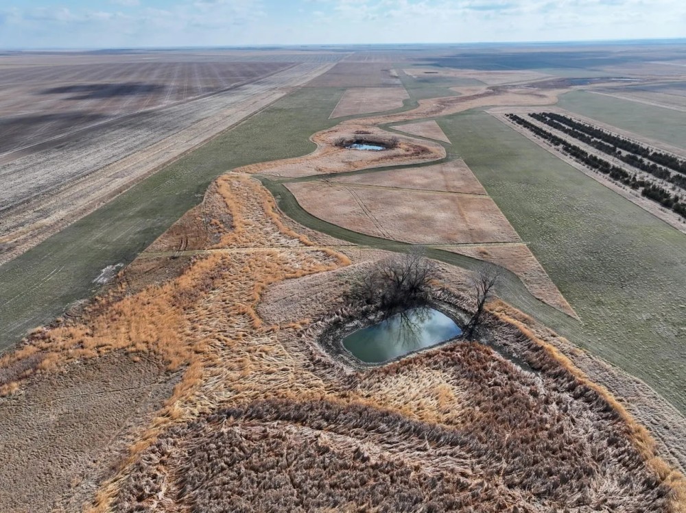Pheasant Harvesters featured image