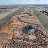 Pheasant Harvesters
