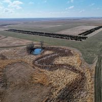 Pheasant Harvesters images 3