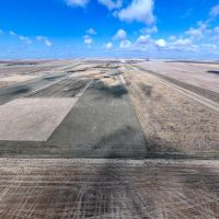 Pheasant Harvesters images 5
