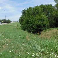 1606 Acres Pasture Timber Ponds More AUction 9 14 images 2