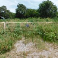 1606 Acres Pasture Timber Ponds More AUction 9 14 images 4