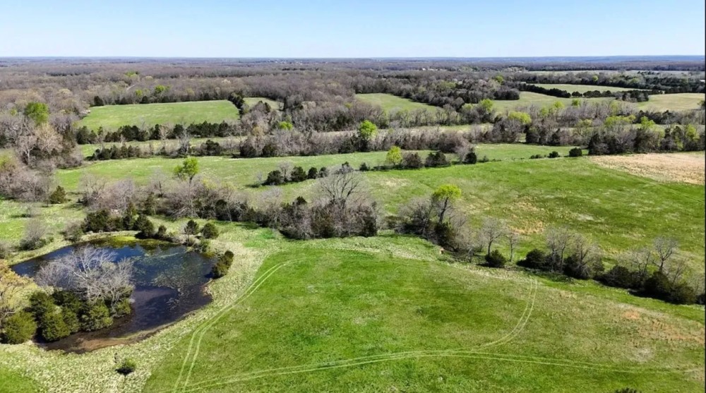 Open Pasture And Timber Tract For Sale Near Marshfield featured image