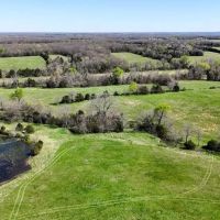 Open Pasture And Timber Tract For Sale Near Marshfield