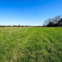 Open Pasture And Timber Tract For Sale Near Marshfield images 3