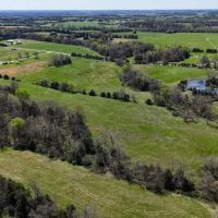Open Pasture And Timber Tract For Sale Near Marshfield images 5