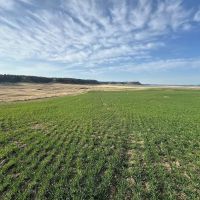 Pine Butte Ranch