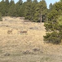Pine Butte Ranch images 5