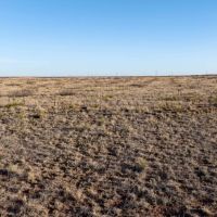 Oden Lake Ranch images 2