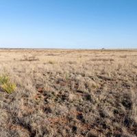 Oden Lake Ranch images 3
